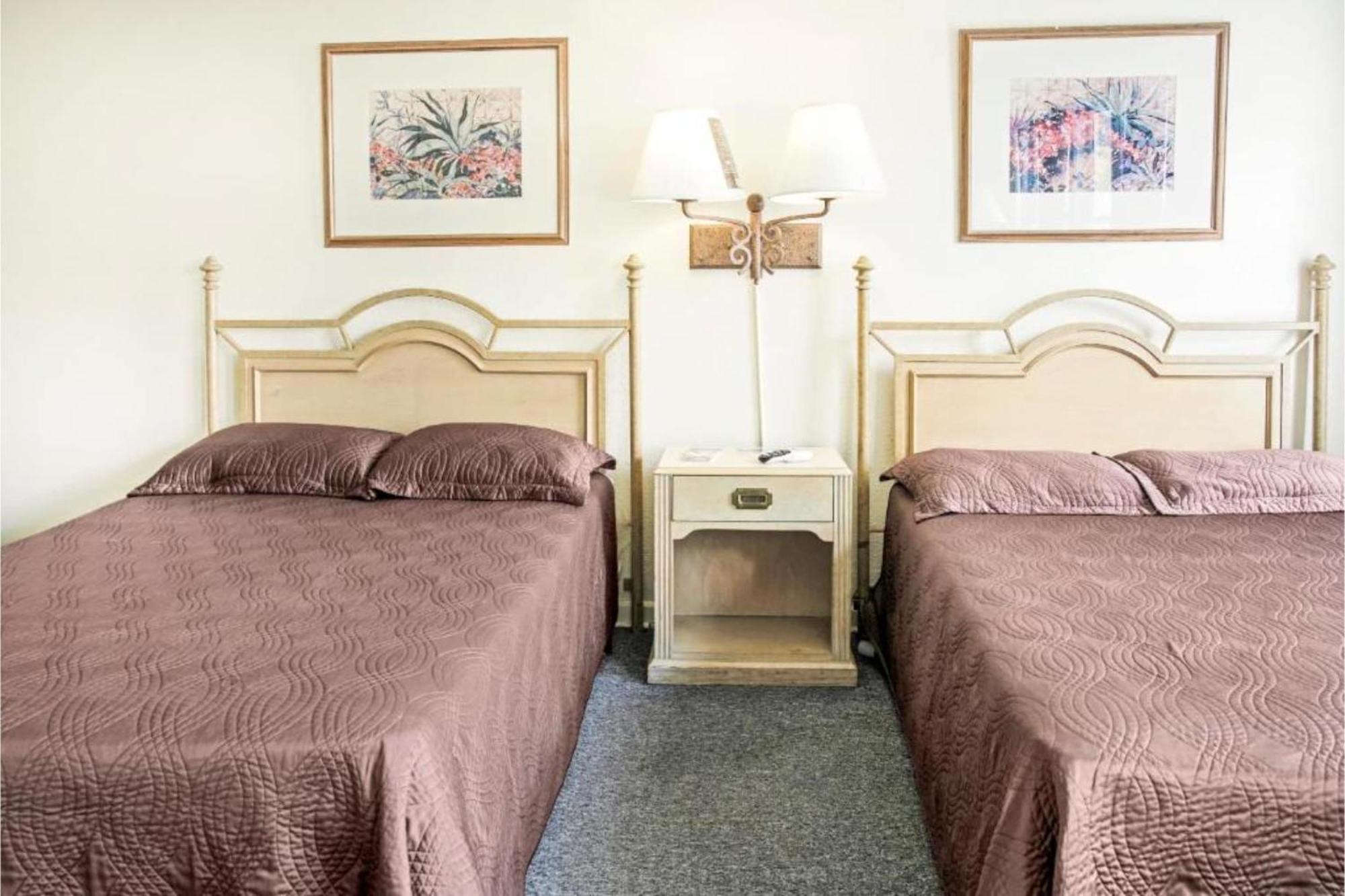 Oyo Historic Cameron Hotel Brownsville I-69E מראה חיצוני תמונה